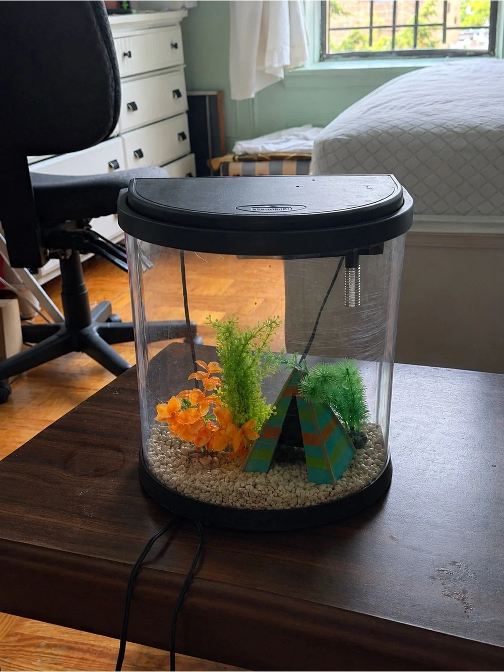Compact Black Top Fish Tank with Orange and Green Décor